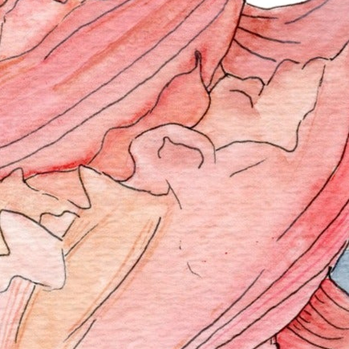Maui Shell Study Print, close-up of the artwork