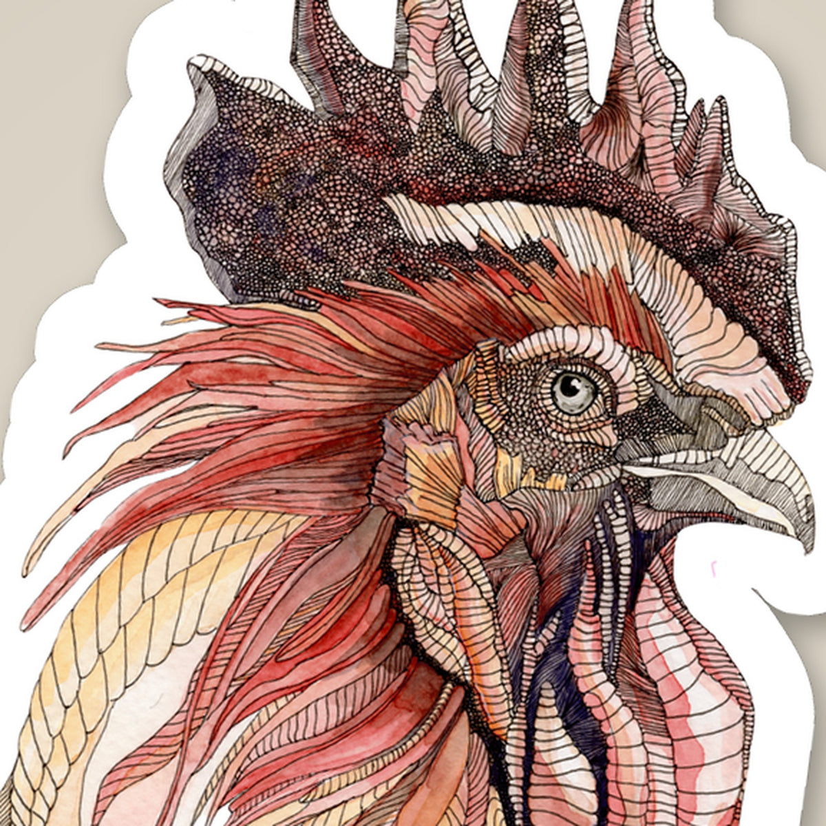 Rooster Sticker, close-up