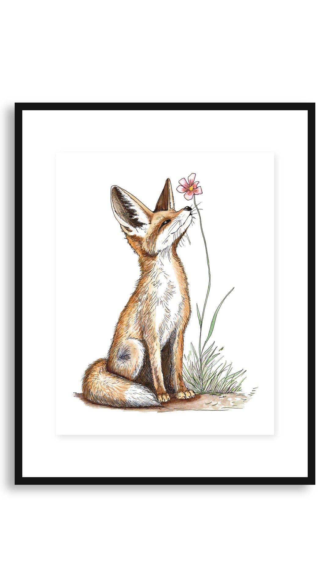 Red Fox art print in an 11x14 floating black frame
