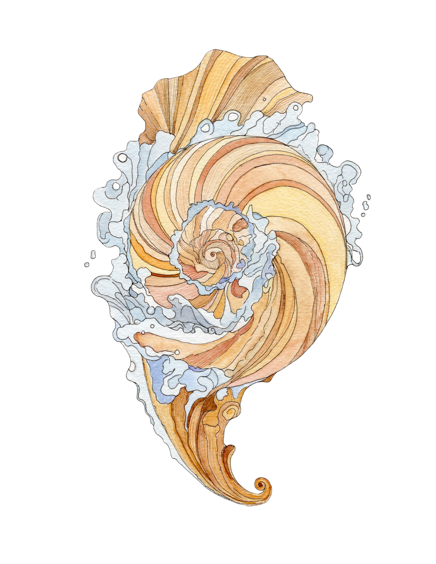 Fine Art Prints