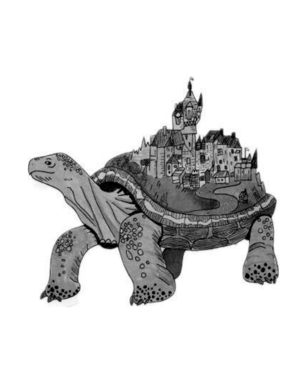 Turtle art print, unframed