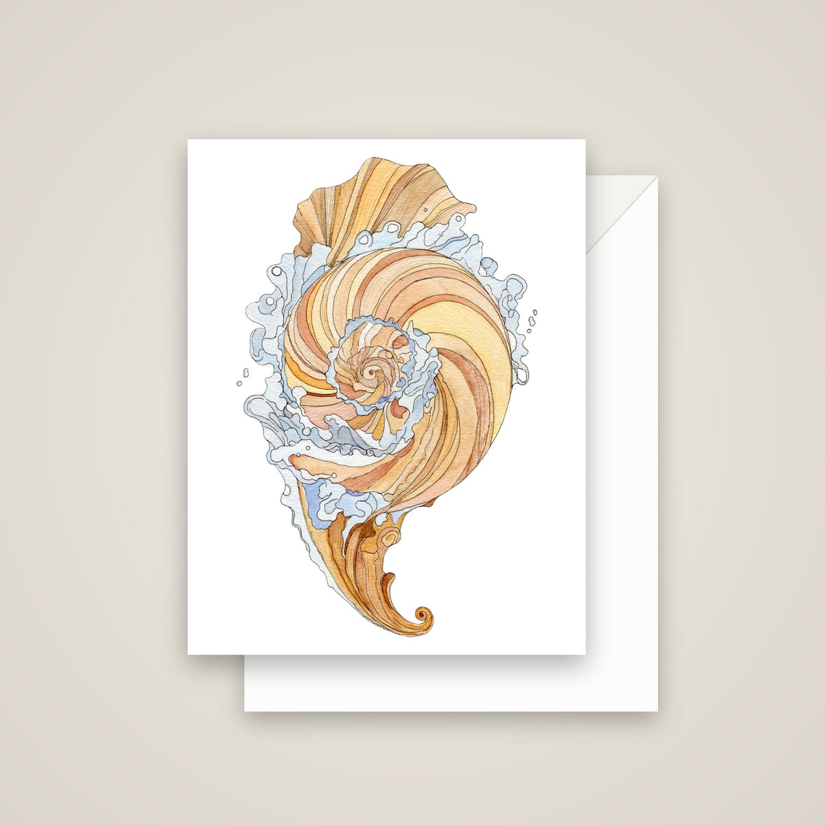 Kona Shell Study Greeting Card, with white envelope