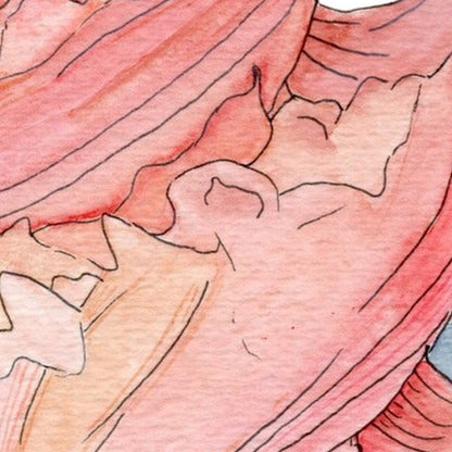 Maui Shell Study Print, close-up of the artwork