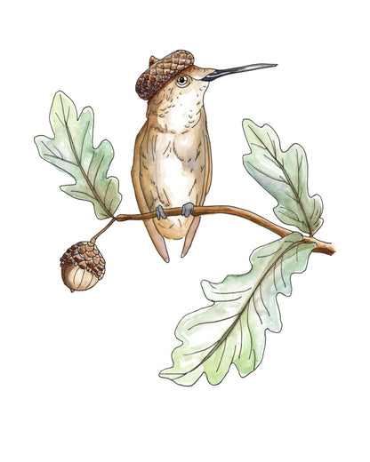 Acorn Cap watercolor art print, unframed