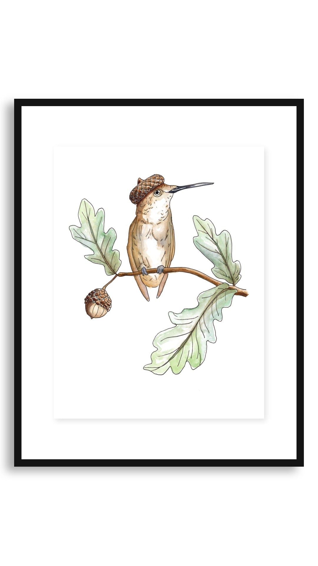 Acorn Cap art print in an 11x14 floating black frame