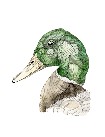 Fine Art Prints