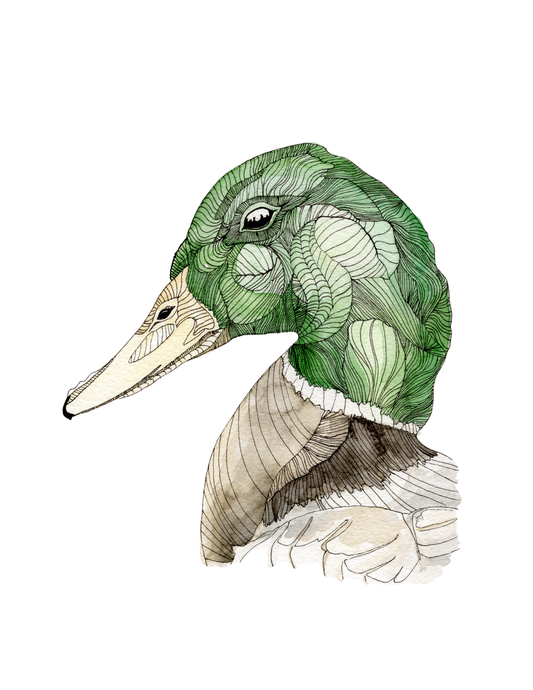 Fine Art Prints