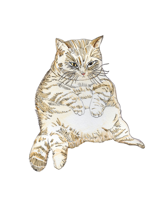 Fine Art Prints