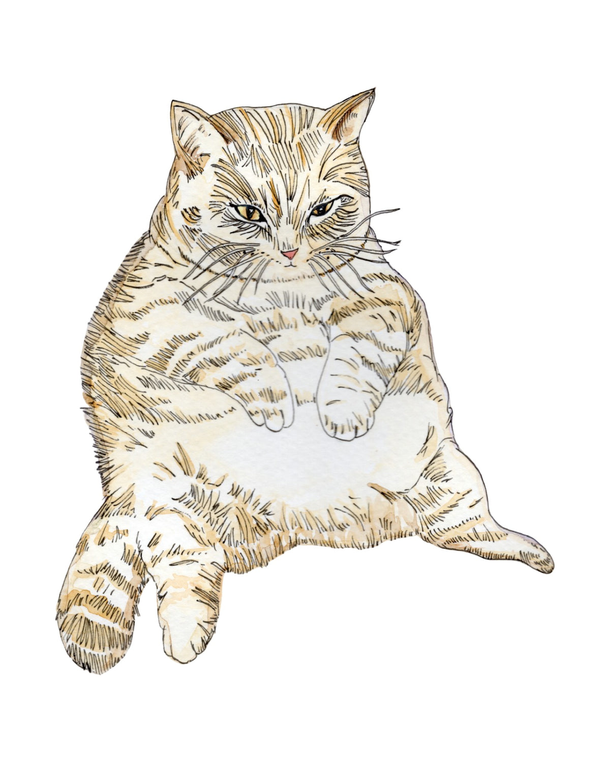 Fat Cat watercolor art print, unframed