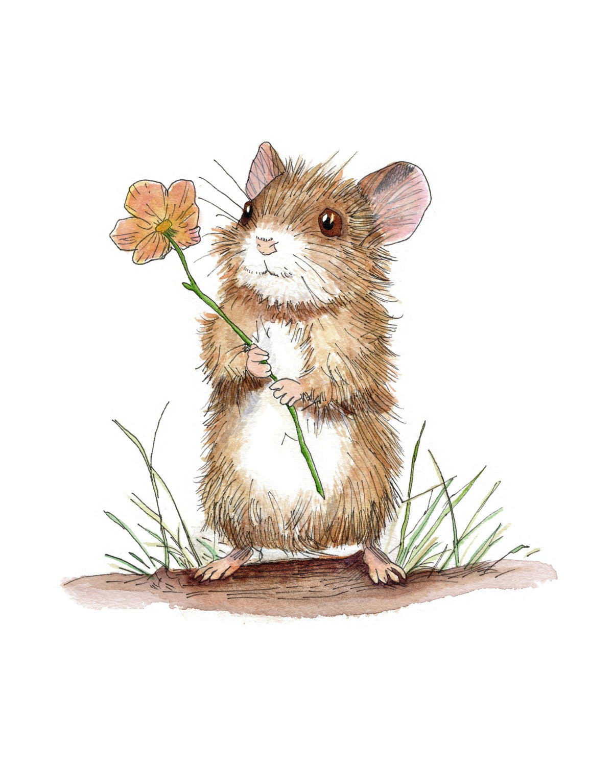 Flower Mouse watercolor art print, unframed