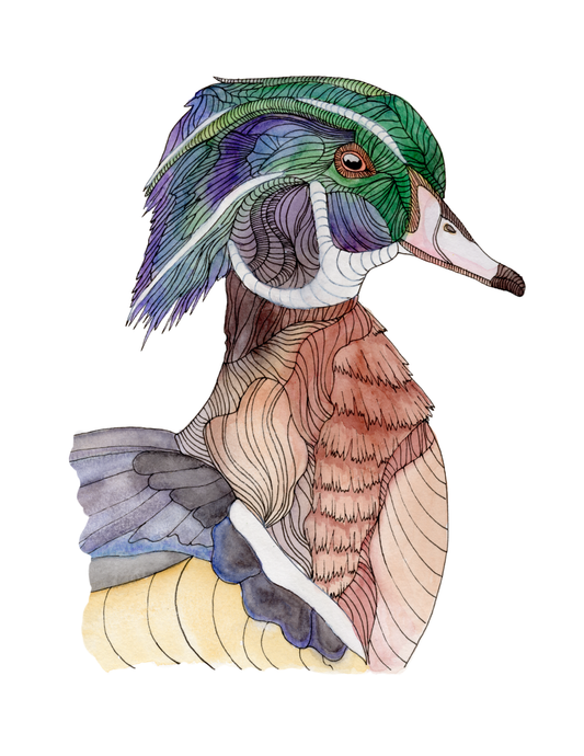 Fine Art Prints