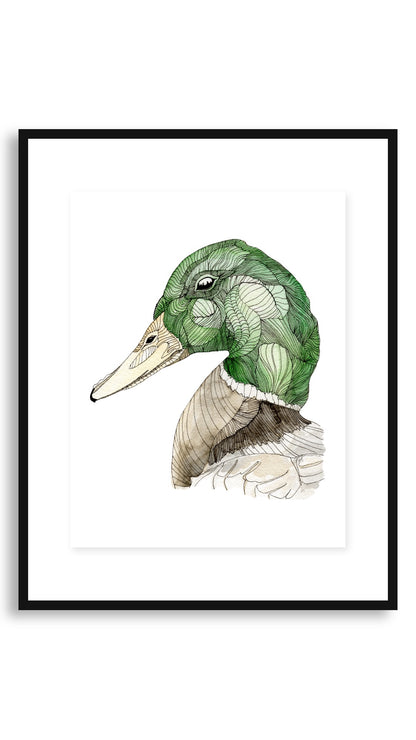 Mallard framed print