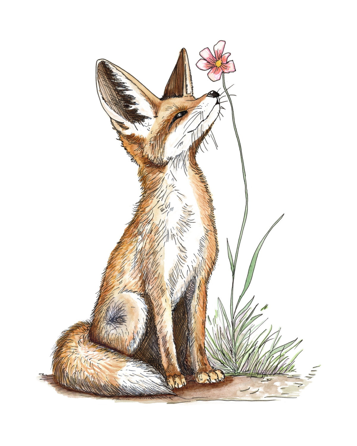 Red Fox watercolor art print, unframed