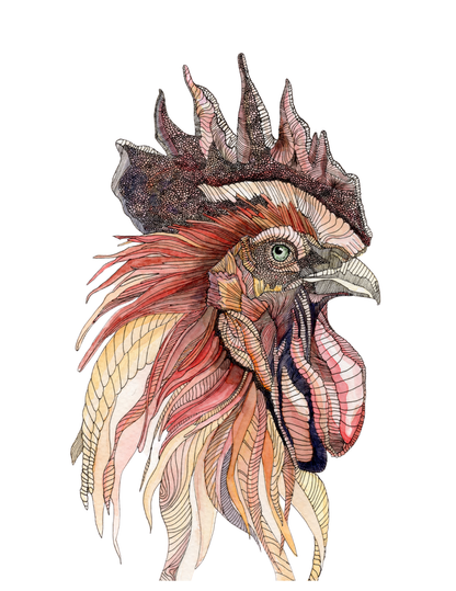 Fine Art Prints