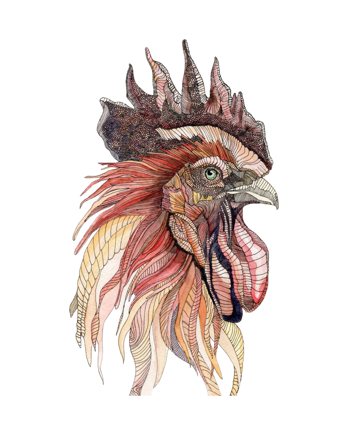 Rooster watercolor art print, unframed