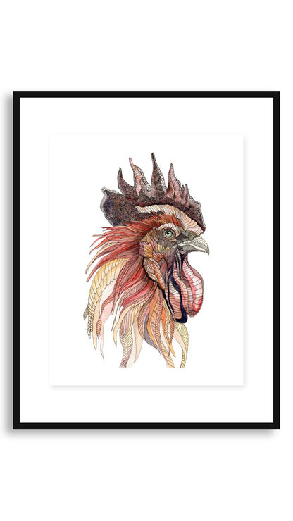 Rooster framed print