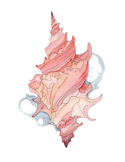 Fine Art Prints