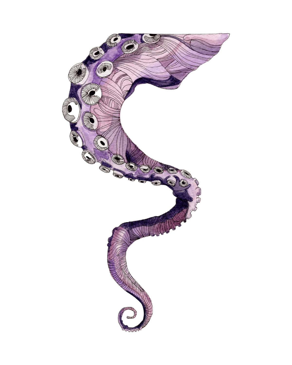 Tentacle watercolor art print, unframed