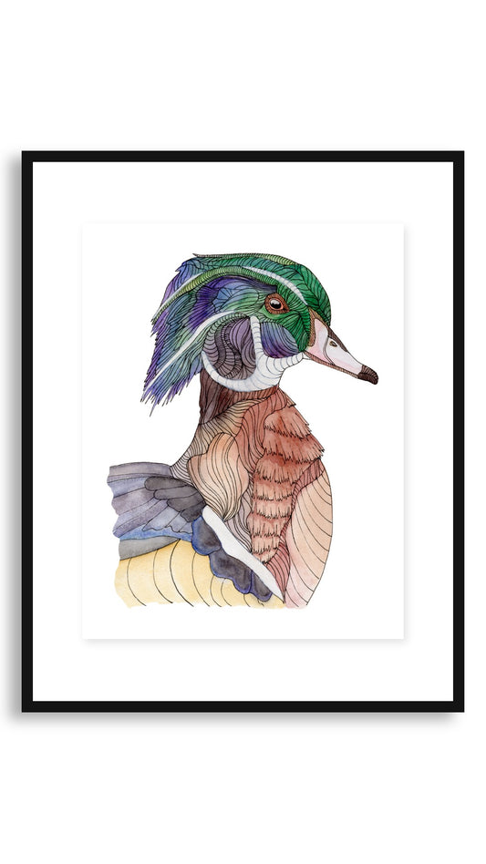 Wood Duck framed print