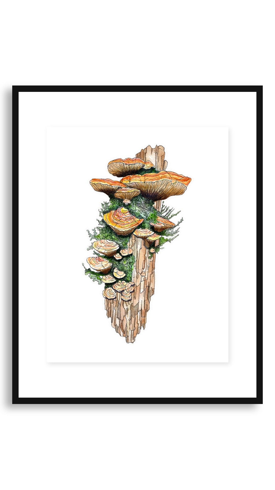 Woodland Bracket Fungi art print in an 11x14 floating black frame