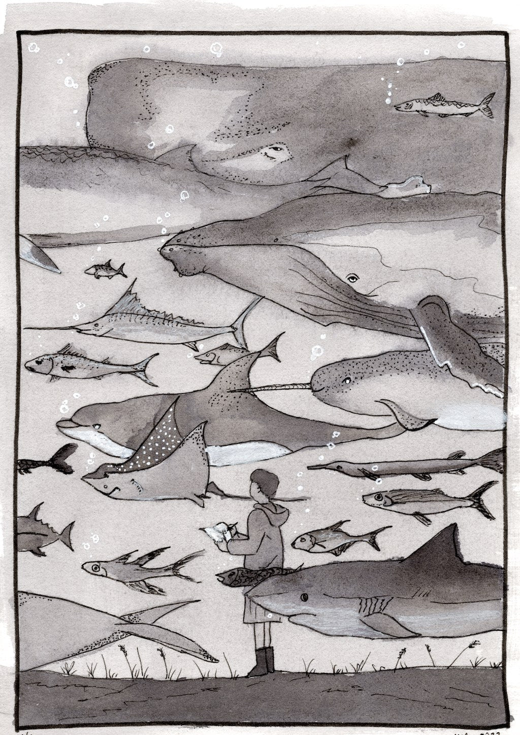 Field Notes, original hand-drawn artwork by Kelsey Lopin