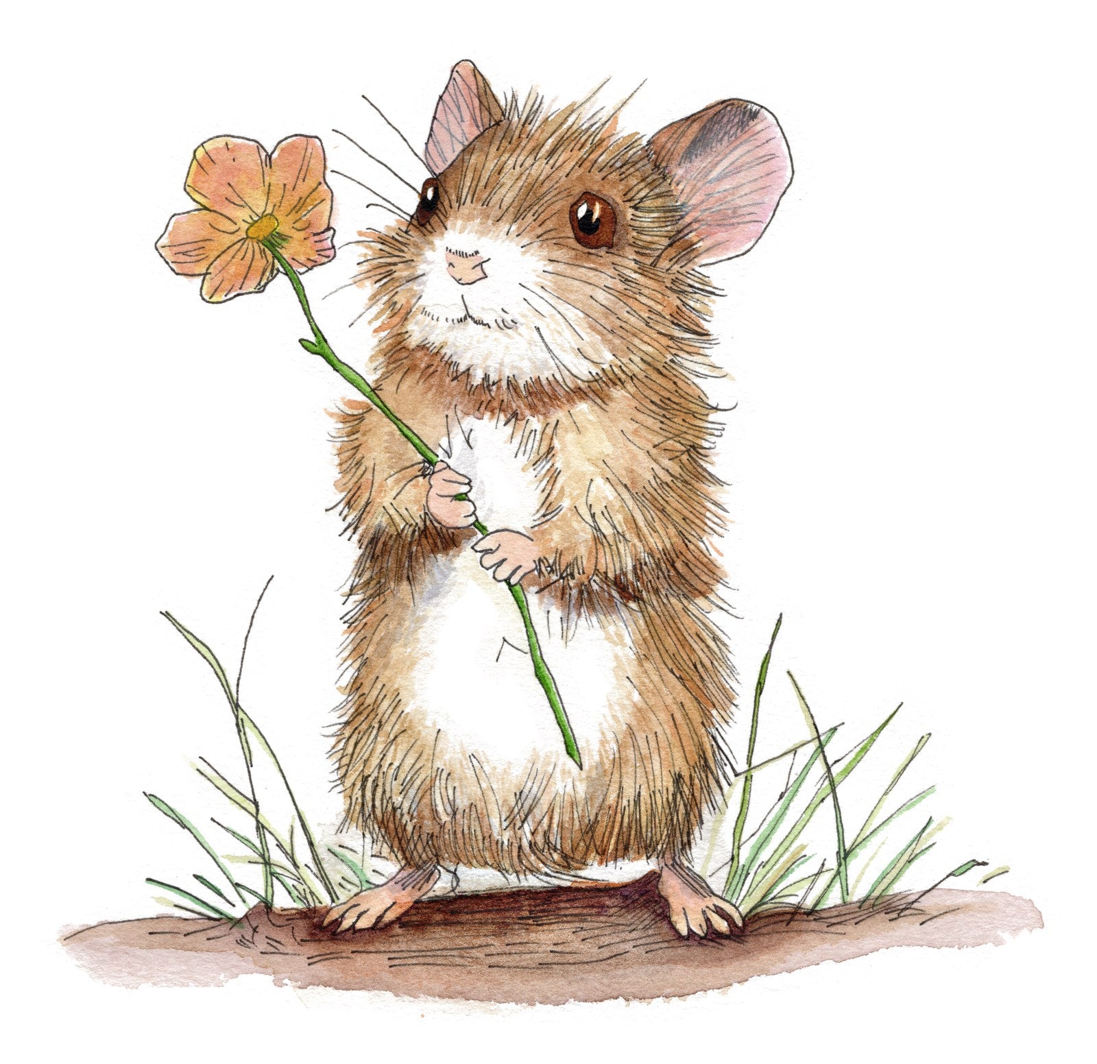 Flower Mouse, original hand-drawn artwork by Kelsey Lopin