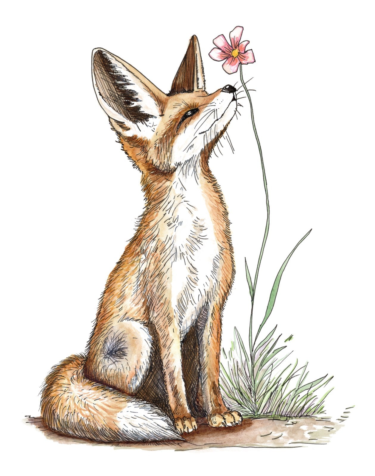 Red Fox, original hand-drawn artwork by Kelsey Lopin