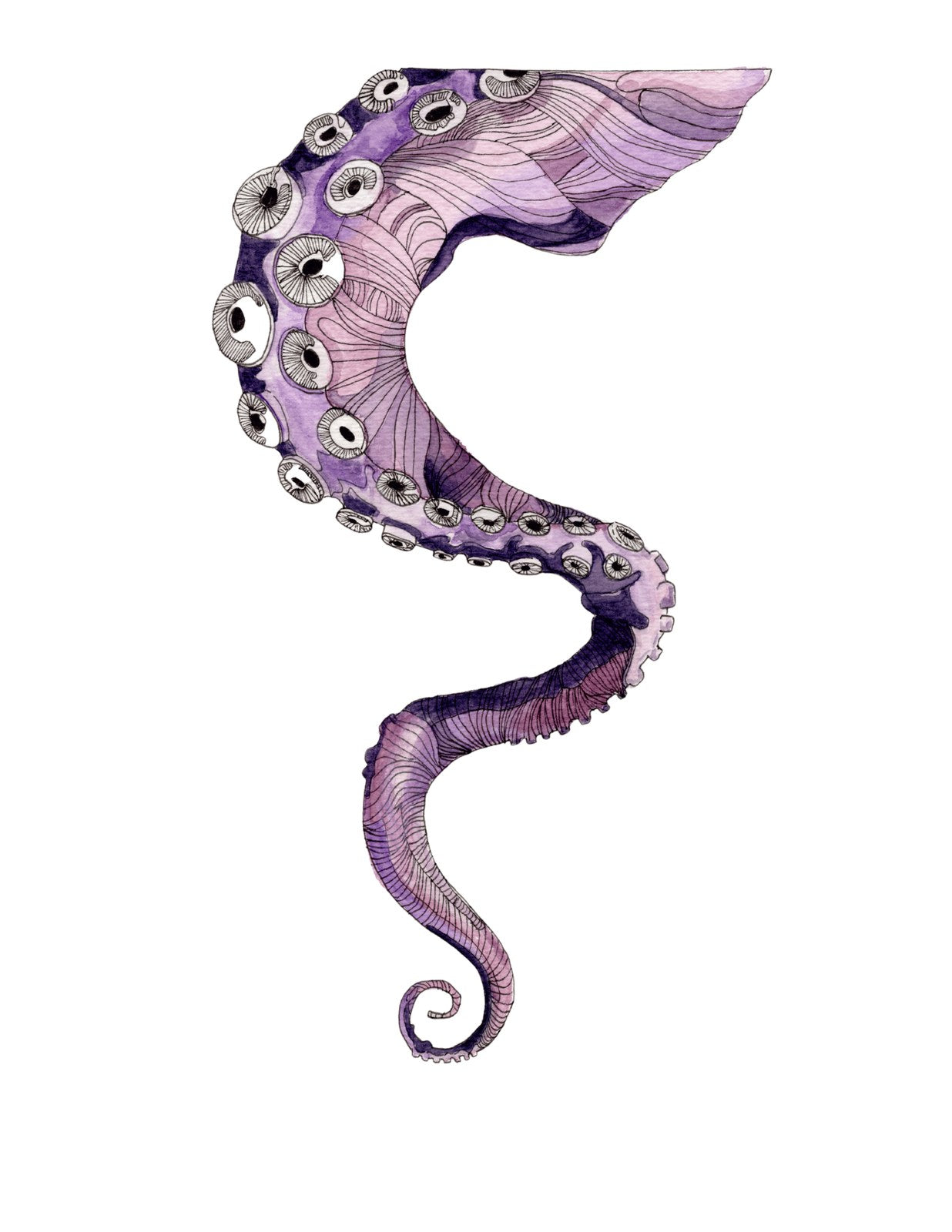 Tentacle, original hand-drawn artwork by Kelsey Lopin