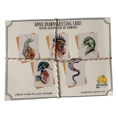 Natural Geometry card pack, belly band showing the five designs