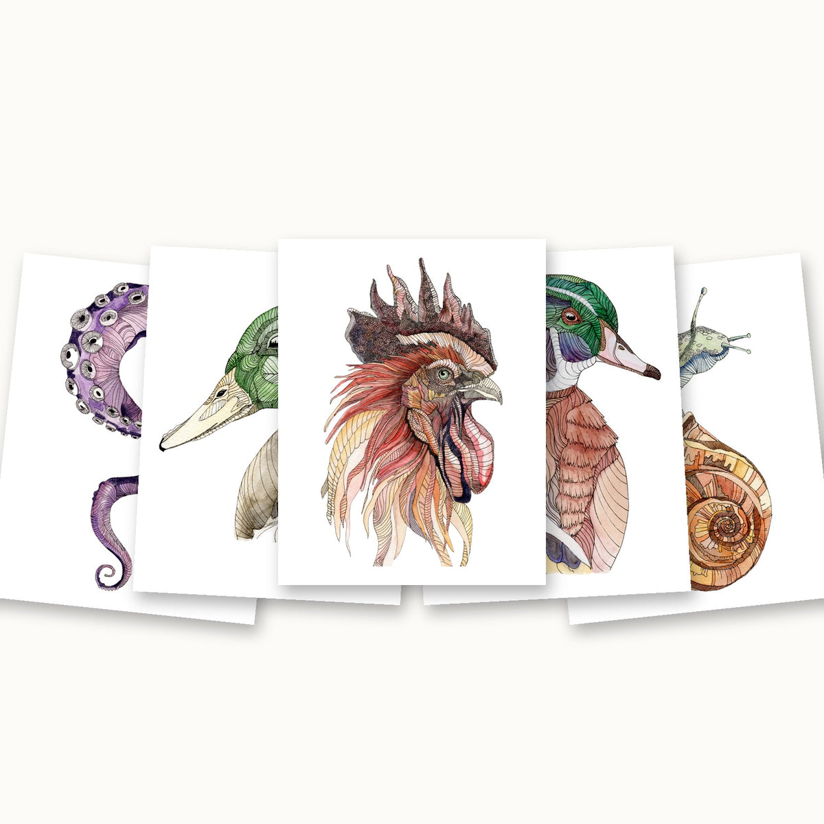 Natural Geometry card pack: Tentacle, Mallard, Rooster, Wood Duck and Snail cards